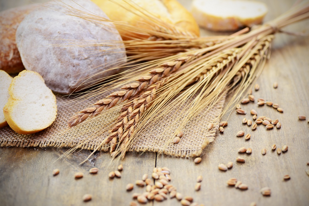 gluten